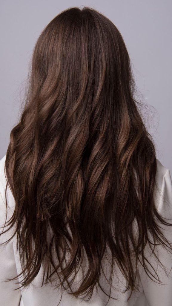 Layer Cut Hairstyle For Long Hair